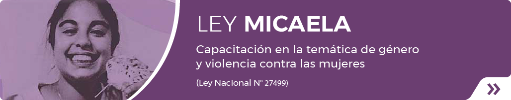 Ley Micaela | Capacitación en la temática de género y violencia contra las mujeres (Ley Nacional N° 27499)